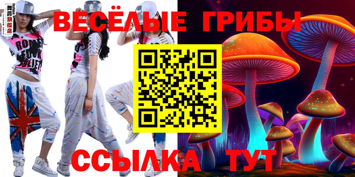Гудермес  Псилоцибиновые грибы Psilocybe  Вход с VPN  Галлюциногенные грибы мухоморы 