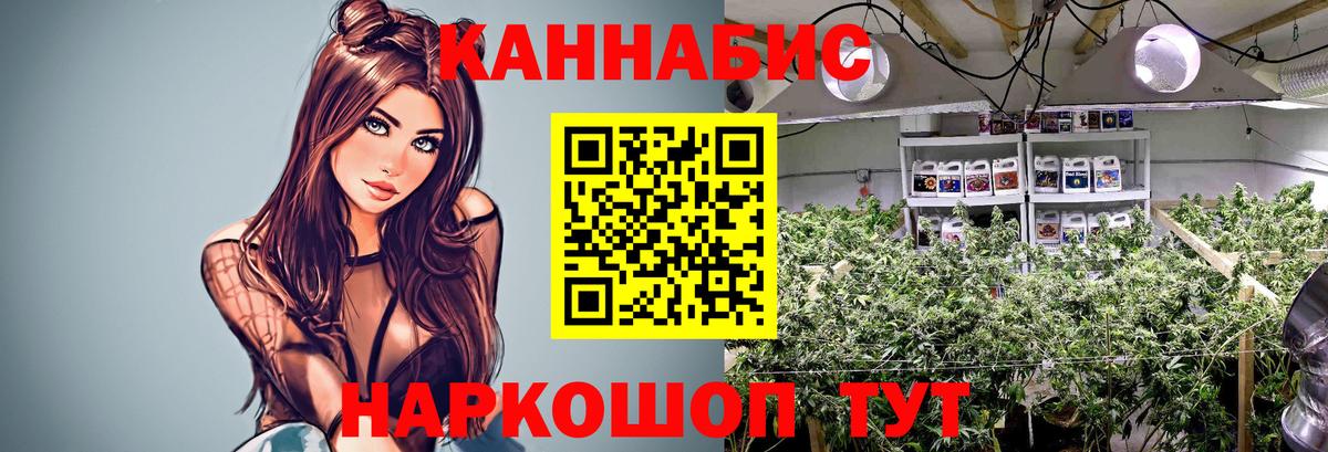 Гудермес  Конопля Ganja  Вход с VPN  МАРИХУАНА конопля  МАРИХУАНА SATIVA & INDICA 